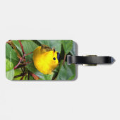 Der schöne Wilson's Warbler im Kirschbaum Gepäckanhänger (Rückseite horizontal)