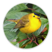 Der schöne Wilson's Warbler im Kirschbaum Keramikknauf (Vorderseite)