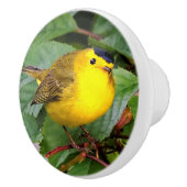 Der schöne Wilson's Warbler im Kirschbaum Keramikknauf (Rechts)