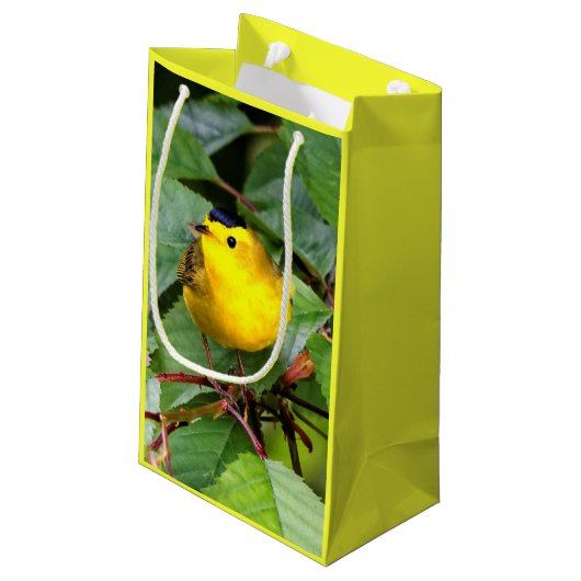 Der schöne Wilson's Warbler im Kirschbaum Kleine Geschenktüte (Rückseite Schrägansicht)