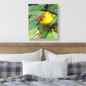 Der schöne Wilson's Warbler im Kirschbaum Leinwanddruck (Insitu (Schlafzimmer))