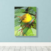 Der schöne Wilson's Warbler im Kirschbaum Leinwanddruck (Insitu (Holzboden))