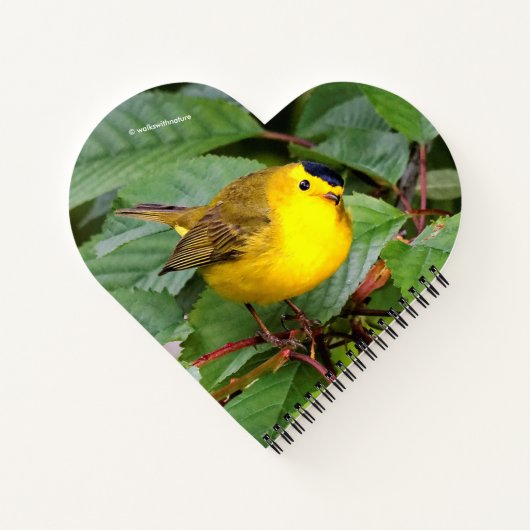 Der schöne Wilson's Warbler im Kirschbaum Notizblock (Rückseite)