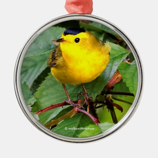 Der schöne Wilson's Warbler im Kirschbaum Ornament Aus Metall (Vorne)
