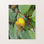 Der schöne Wilson's Warbler im Kirschbaum Puzzle (Vertikal)