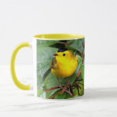 Der schöne Wilson's Warbler im Kirschbaum Tasse (Links)