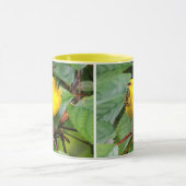 Der schöne Wilson's Warbler im Kirschbaum Tasse (Zentrum)