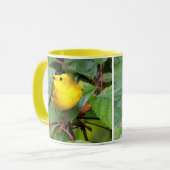 Der schöne Wilson's Warbler im Kirschbaum Tasse (Vorderseite Links)