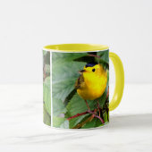 Der schöne Wilson's Warbler im Kirschbaum Tasse (VorderseiteRechts)