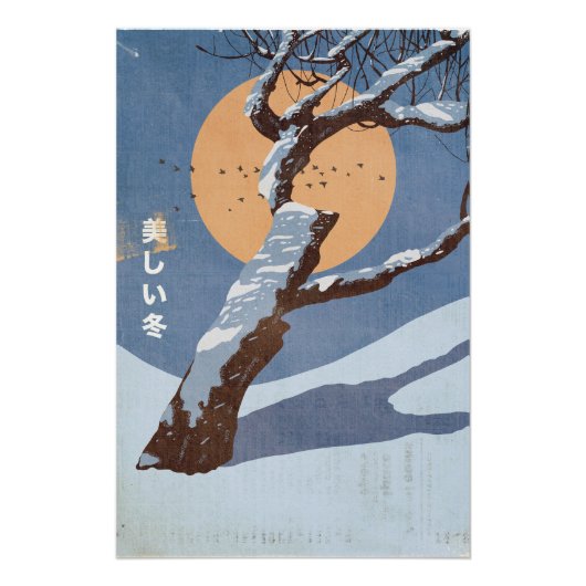 Der schöne Winter Poster (Vorderseite)