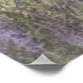 Der schöne Zeiger im Feld Poster (Ecke)