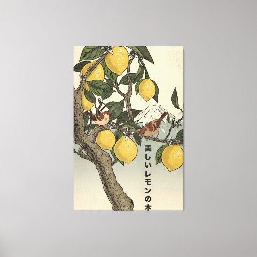 Der schöne Zitronenbaum Leinwanddruck (Vorderseite)