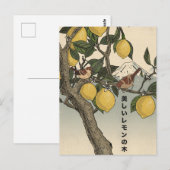 Der schöne Zitronenbaum Postkarte (Vorne/Hinten)