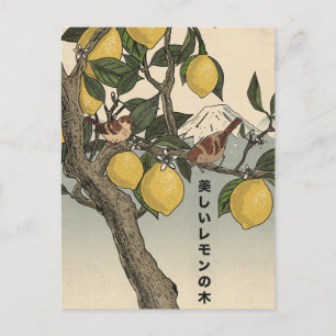 Der schöne Zitronenbaum Postkarte