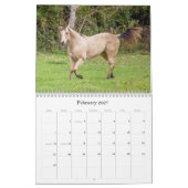 Der Schönheitskalender für Pferde Kalender (Feb 2027)
