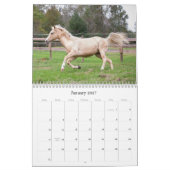 Der Schönheitskalender für Pferde Kalender (Jan 2027)
