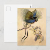 "Der schönste Vogel" von Warwick Goble Postkarte (Vorne/Hinten)