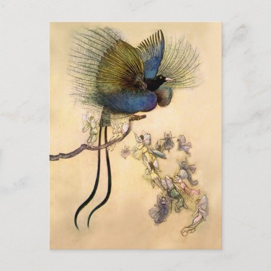 "Der schönste Vogel" von Warwick Goble Postkarte (Vorderseite)