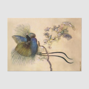 "Der schönste Vogel" von Warwick Goble Seidenpapier