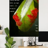 Der Schöpfungsakt Poster (Heimbüro)