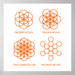 Der Schöpfungsprozess Poster