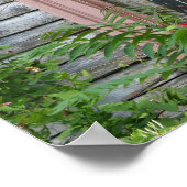 Der Schrei in einem Fenster Poster (Ecke)