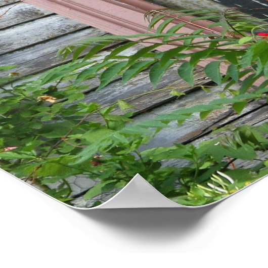 Der Schrei in einem Fenster Poster (Ecke)