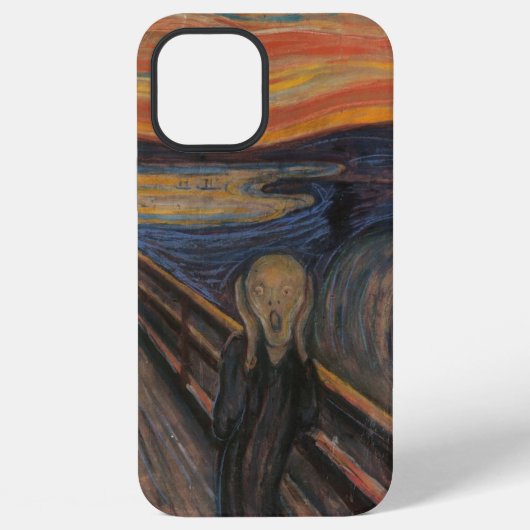 Der Schrei iPhone Hülle (Rückseite)