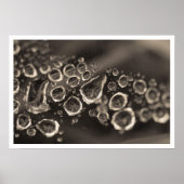 der Schuh fällt Poster (Vorne)