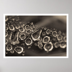 der Schuh fällt Poster