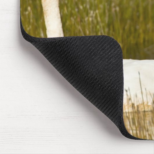 Der Schwan paart sich mit Cygnets in Island. Mousepad (Ecke)