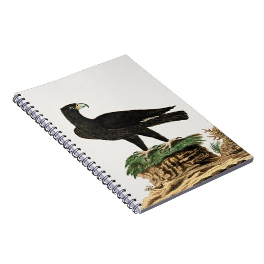 Der Schwarze Adler von Verredx | Wildvogelabbildun Notizblock (Rechte Seite)