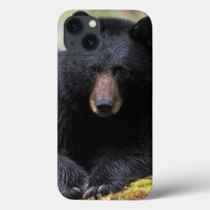Der schwarze Bär auf einer alten Wachstumsprognose Case-Mate iPhone Hülle