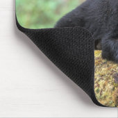 Der schwarze Bär auf einer alten Wachstumsprognose Mousepad (Ecke)