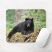 Der schwarze Bär auf einer alten Wachstumsprognose Mousepad (Mit Mouse)