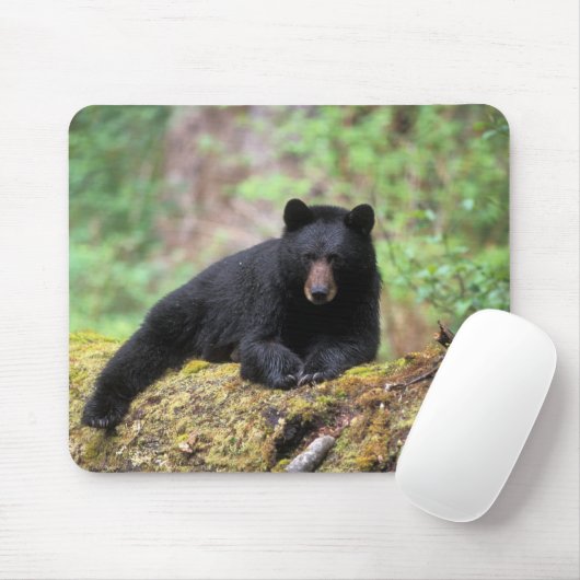 Der schwarze Bär auf einer alten Wachstumsprognose Mousepad (Mit Mouse)