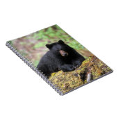 Der schwarze Bär auf einer alten Wachstumsprognose Notizblock (Rechte Seite)