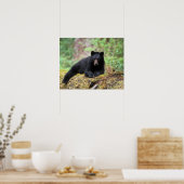 Der schwarze Bär auf einer alten Wachstumsprognose Poster (Küche)