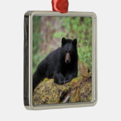 Der schwarze Bär auf einer alten Wachstumsprognose Silbernes Ornament (Rechts)