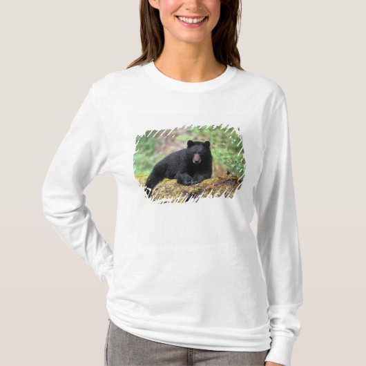Der schwarze Bär auf einer alten Wachstumsprognose T-Shirt (Vorderseite)