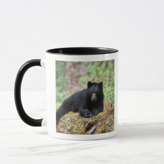 Der schwarze Bär auf einer alten Wachstumsprognose Tasse (Links)