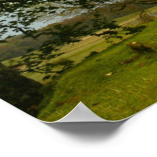 Der schwarze Douglas Poster (Ecke)