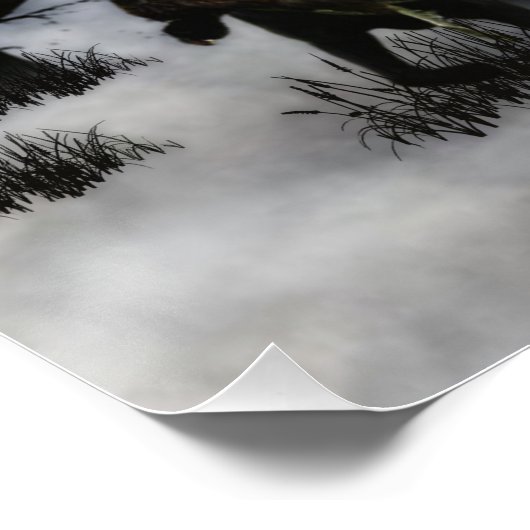 Der schwarze goldene Retrievers Poster (Ecke)