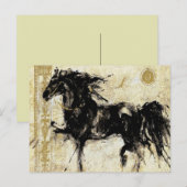 Der schwarze Hengst ~ Postkarte (Vorne/Hinten)