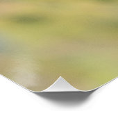 Der schwarze Schwanz auf seinem Ast Poster (Ecke)