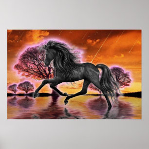 Der schwarze Stallion .. Fantasiebild.. Poster