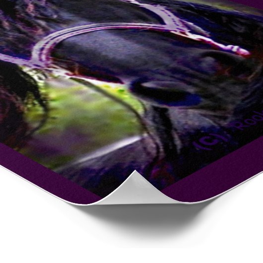 Der schwarze Stallion Poster (Ecke)