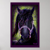 Der schwarze Stallion Poster (Vorne)