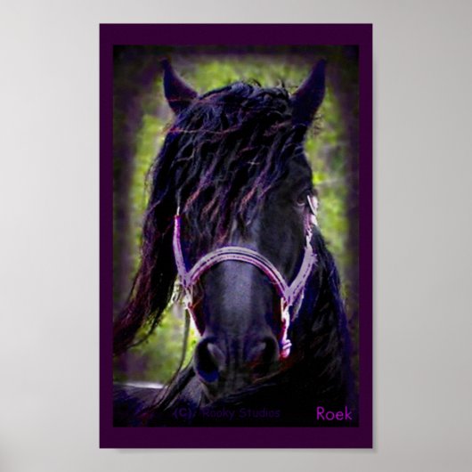 Der schwarze Stallion Poster (Vorne)