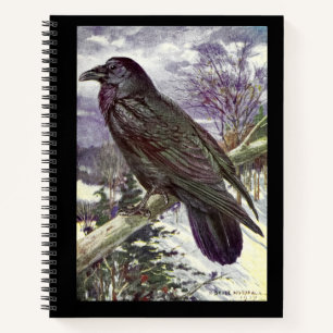 Der schwarze Vogel Notizblock